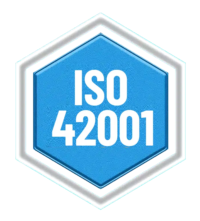 ISO 42001 Artificial Intelligence Management